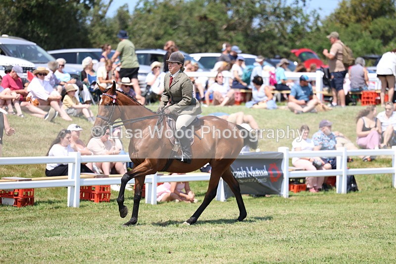 3E7A9349 - Class 12: Open Racehorse to Show Horse