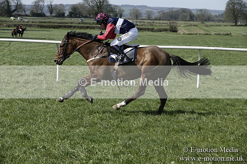 PtP 260317 15 - Mendip Farmers Point-to-Point Ston Easton 26/03/17