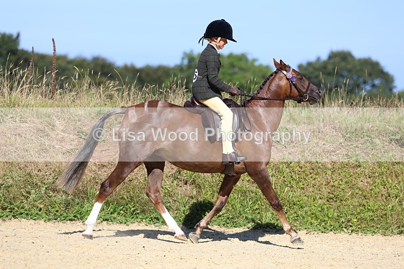 3E7A7887 - Class 14: Tack and Turnout