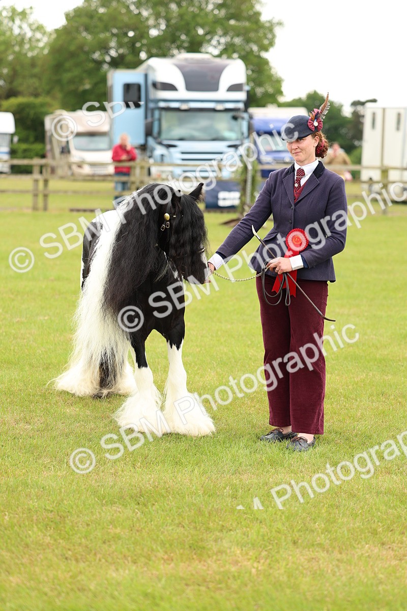 SBM_06352 - Class 39-41 TGCA In Hand and Ridden
