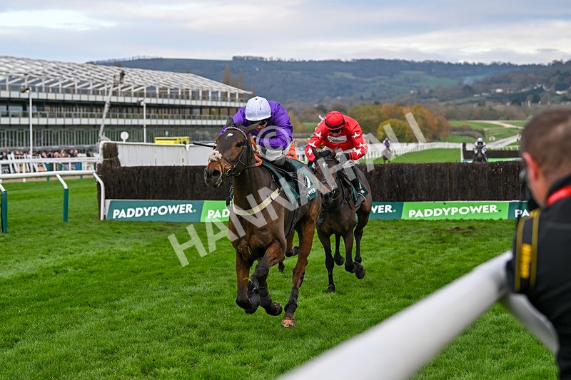 161124-Race 4-Fugitif-0473 - Race 4