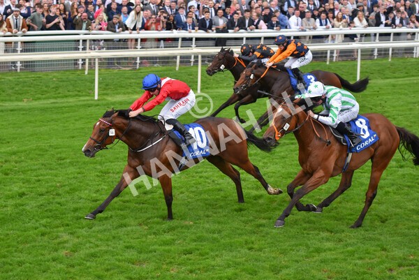 yr09102021r2-21 - Race 2 2.02pm Coral Beaten-By-A-Length Free Bet Rockingham Stakes
