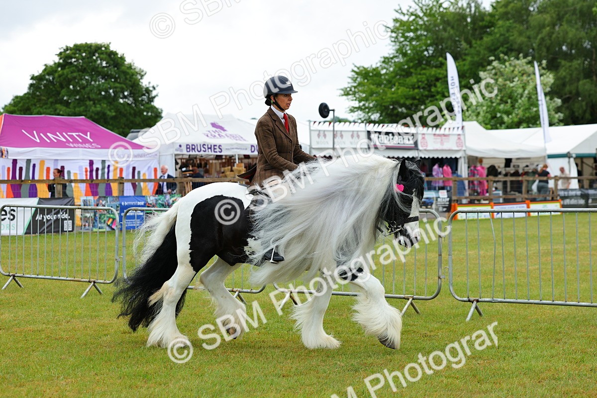 SBM_01149 - Class 1-4 - BSPA Ridden