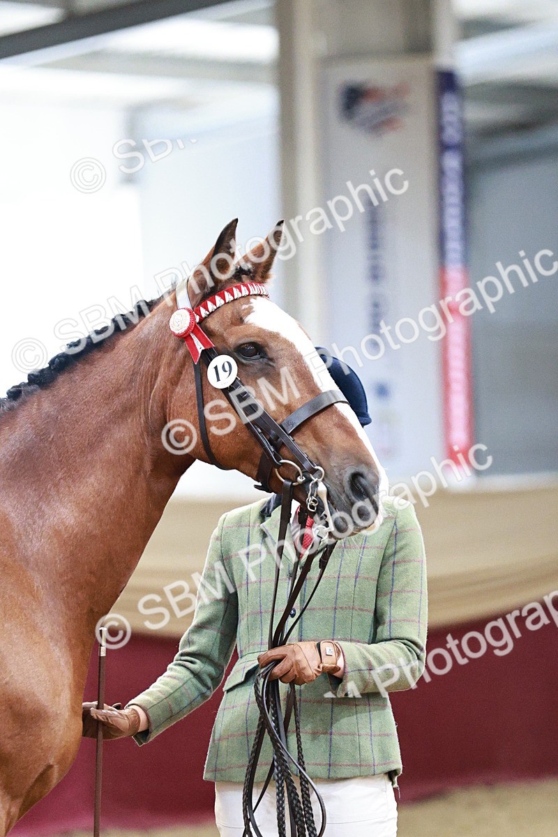 SBM_01285 - Class 3A - Area IH Pre-Vet