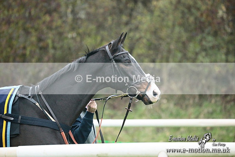 PtP 091124  228 - Knightwick Races Point-to-Point 09/11/24