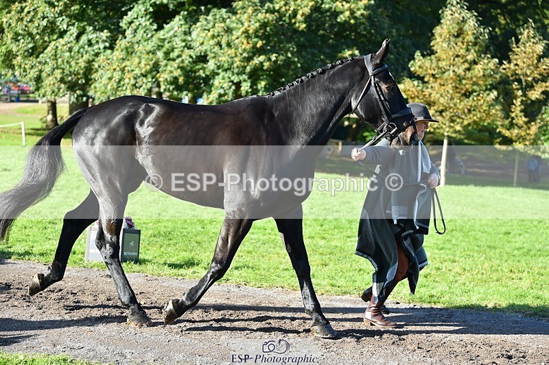 231022-105404-23574 - 448-BARATHEON-Georgina.Owen-TrotUp+SJ