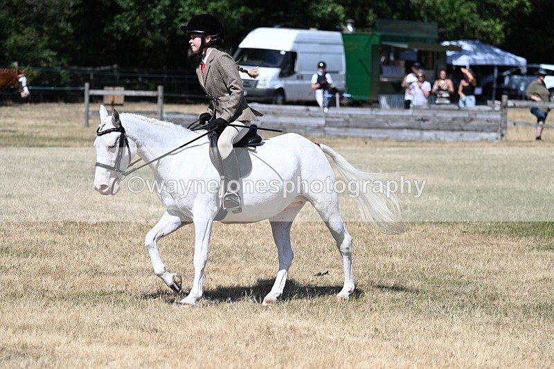 WJ7_3668 - Class 8 Ridden Veterans