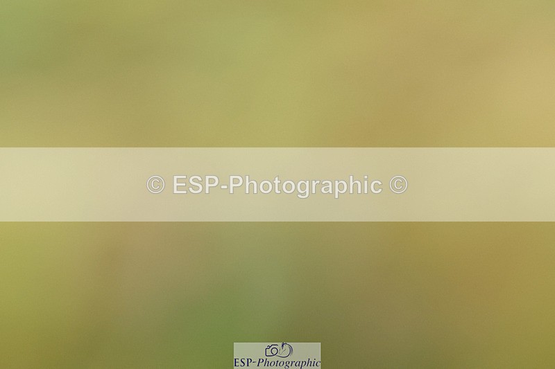 240824X-084538-21974 - D70 Section C and D 8.30 to 9.30