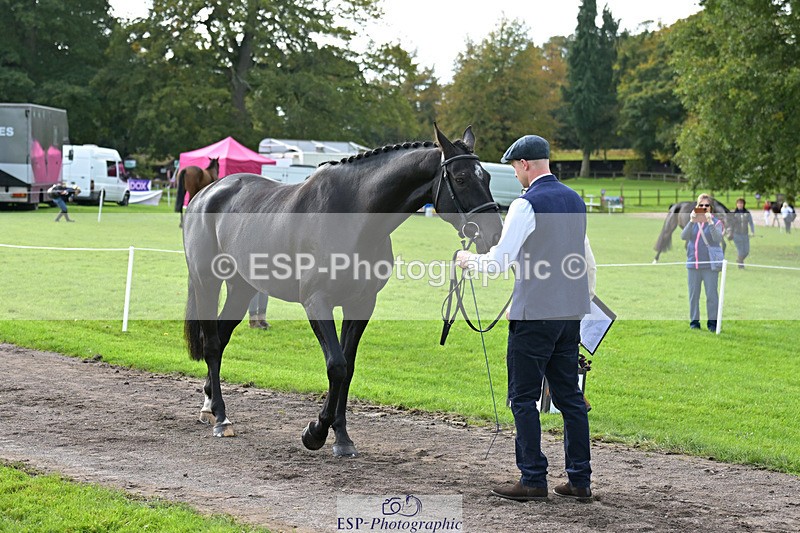 241023-132736-00303 - 058-Jack.Ashworth-TIMEPEICE.BLUE