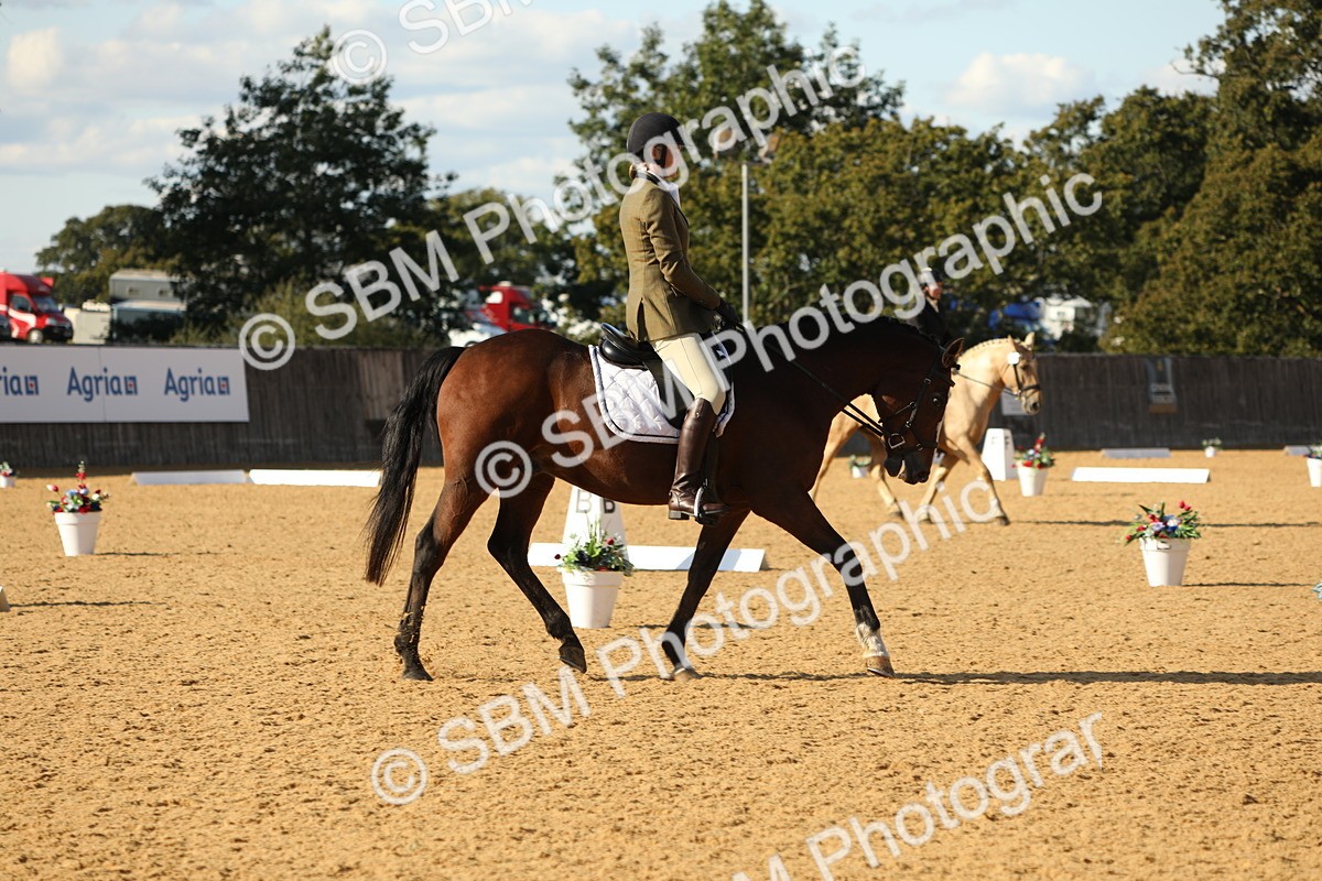 SBM_26876 - D17 - Grand Tour Championship - Novice 27