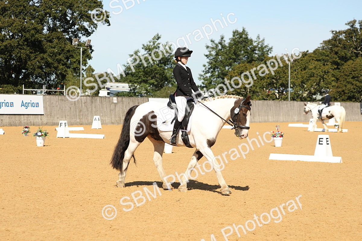 SBM_19774 - D10 - Small Tour Championship - Prelim 2