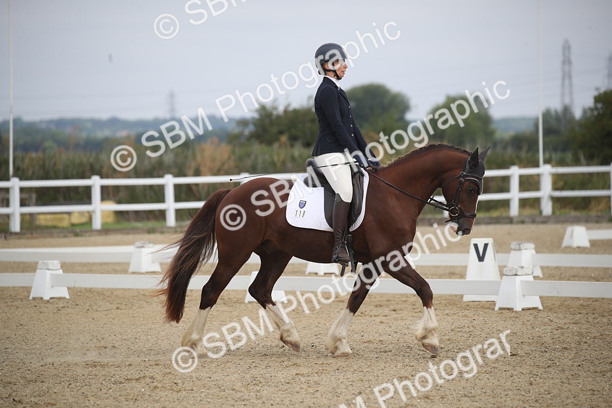 SBM_005439 - Novice 5 - 8.30.10.39