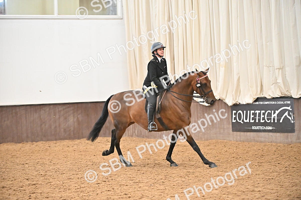 SBM_002416 - Class 22 - BSHA Ridden Hack & Riding Horse