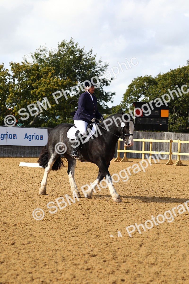 SBM_24515 - D11 - Small Tour Championship Prelim 1