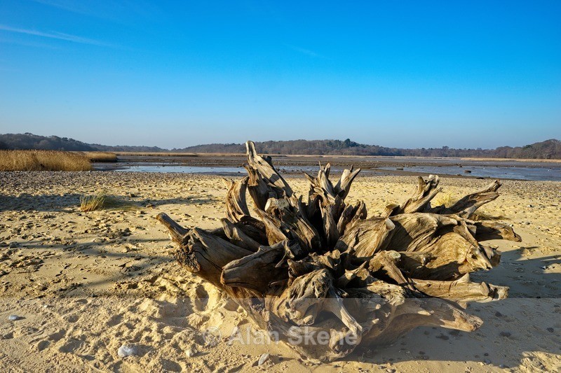 DSC03343 - Suffolk