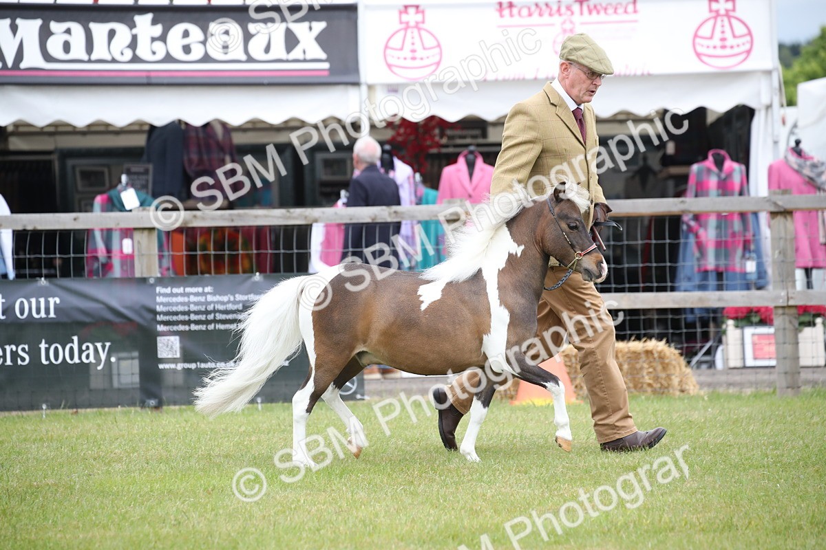 SBM_03917 - Class 23-25 - British Miniature Horse of the Year