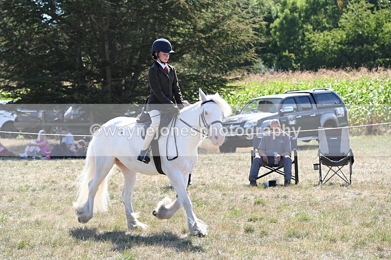 WJ6_8977 - Class 38 Ridden Riding Horse/Pony
