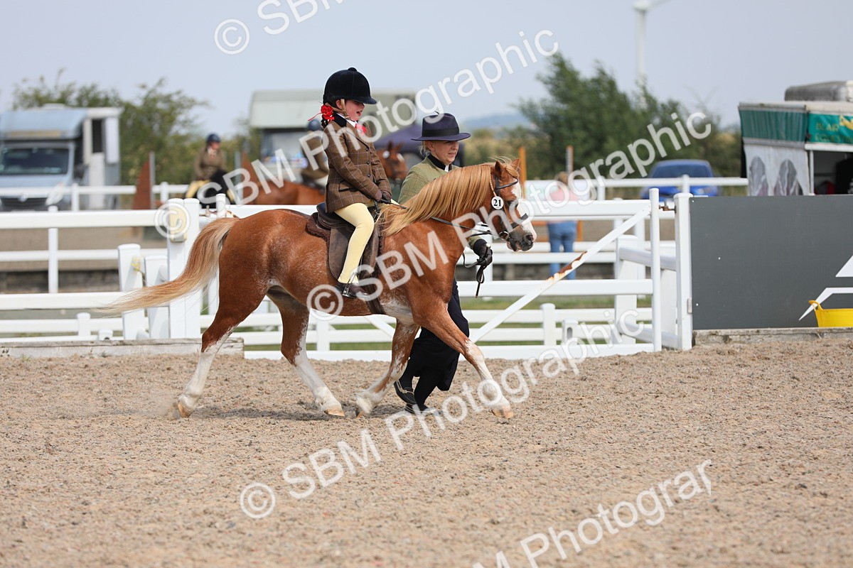SBM_14076 - Class 309 Lead Rein Pony