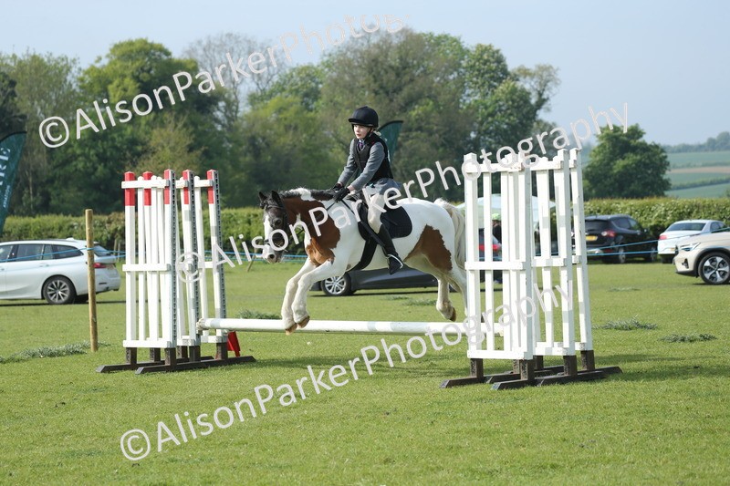 20260426-0200 - Class 13 - Rookie Jumping 50cm