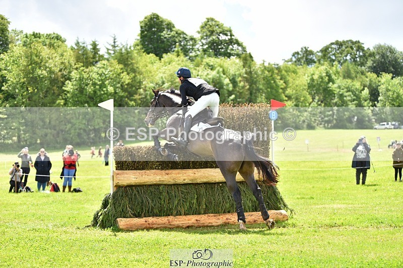 240526-122312-21613 - 401-PLOT_TWIST_B-Tom_Jackson