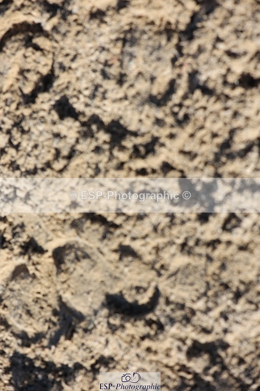 241027-130449-17518 - Presentations - BE90 3DE