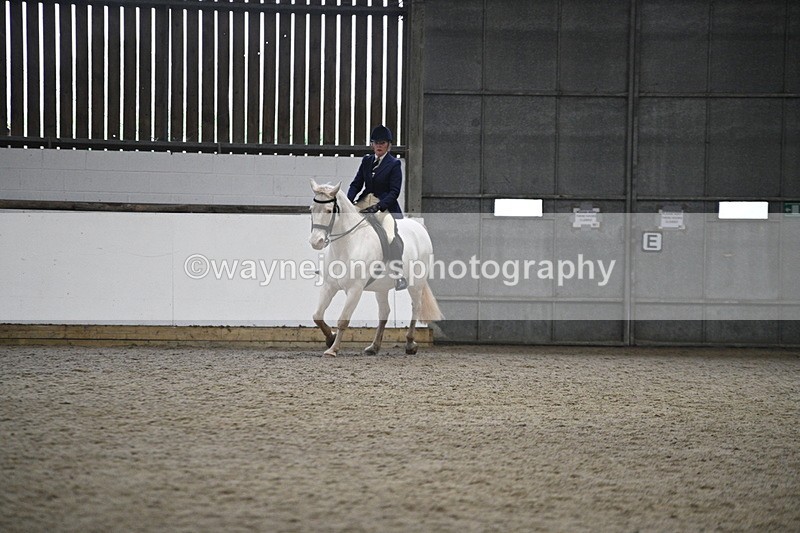 WJ7_3620 - Class 16 Ridden Coloured/ Odd Coloured