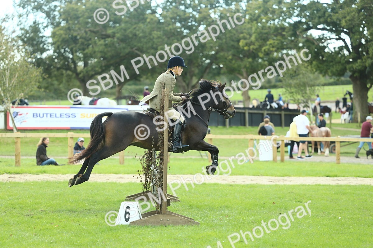 SBM_42909 - S30 - M&M Working hunter Pony