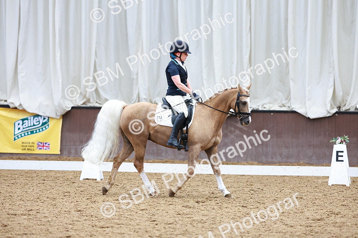 SBM_001203 - Class 5-6 - Novice 1-Elem 1