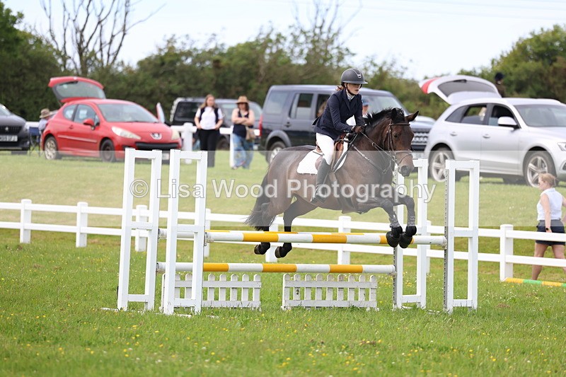 3E7A1807 - Class 13: Senior British Novice/90cm open