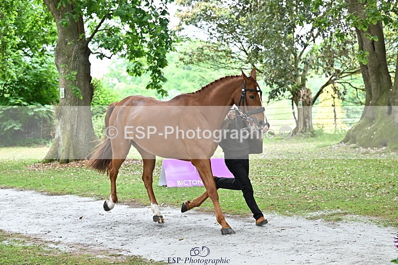 250521A-144913-00263 - A-062-Finn.Healy-GREANNANSTOWN.MONBEG.JOE