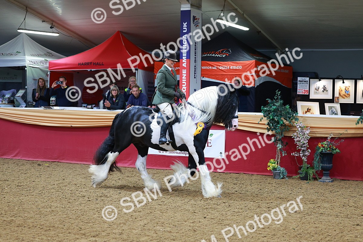 SBM_09880 - Class 102 - HOYS Veteran Qualifier - Ridden Veteran