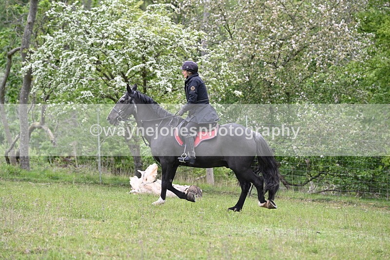 WJ6_1813 - Group 7 A&B Cameras