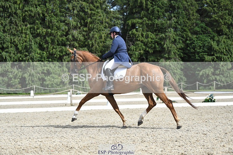 230812-154359-05189 - Cls 10 FEI Inter I Silver