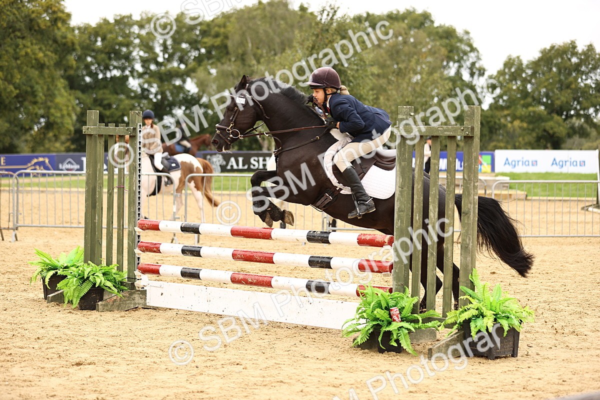 SBM_64718 - J17 - Junior Pony 80cm Championship