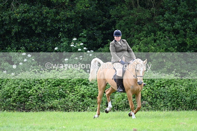 WJ7_2481 - Class 12A Coloured Class