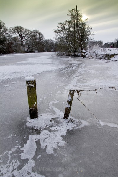 -12 RIVER DEE, Chester - LANDSCAPES OF ENGLAND