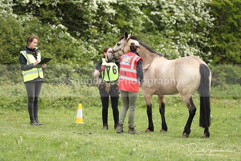 DSP29628 - Venue & Vetting