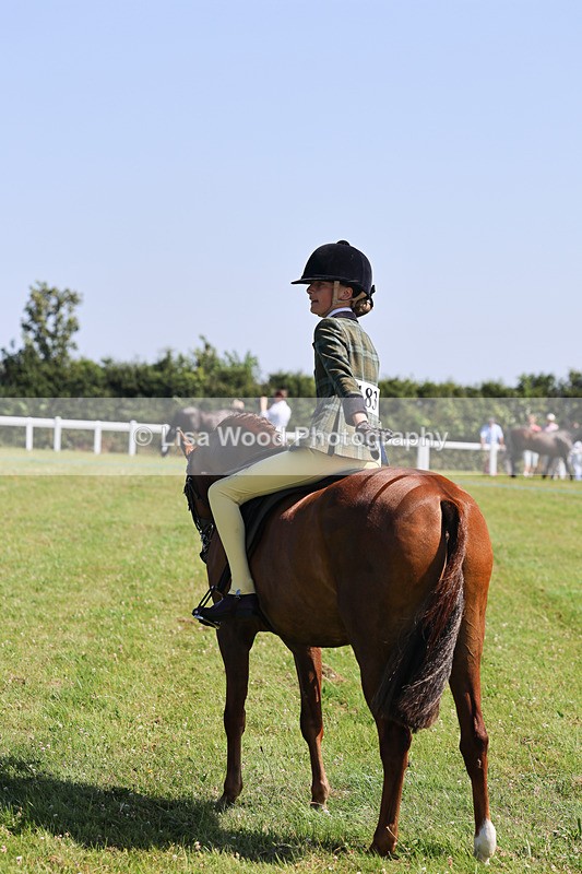 IMG_2017 - Class 34: Show Hunter Pony 153cm and under