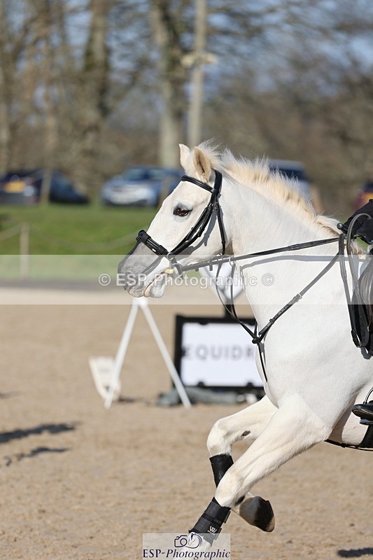 250209A-115641-00985 - 80cm 11.10 to End