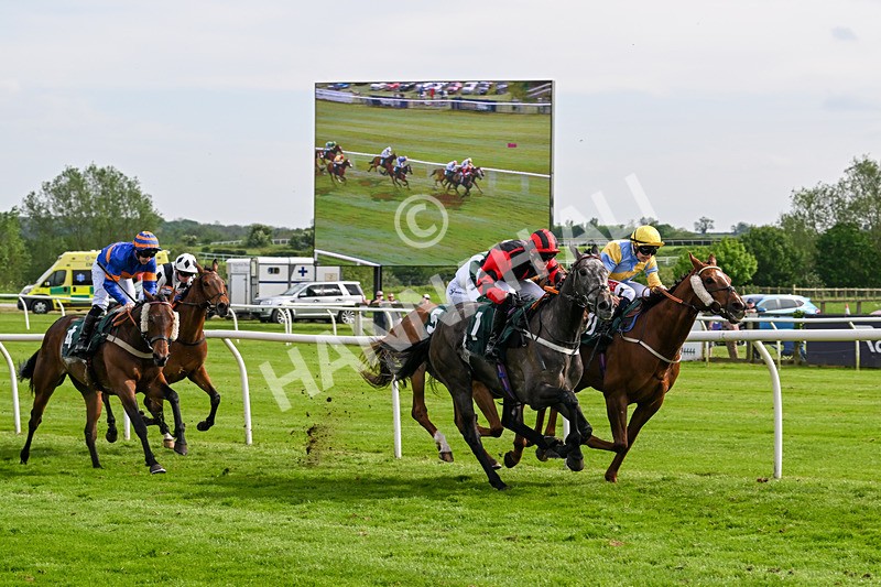 130524-Race 6-Stellarmasterpiece-0946 - Race 6