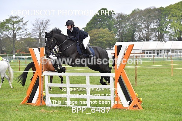 BPP_6487 - CLASS 1 Senior Newcomers/ 1.10m Open