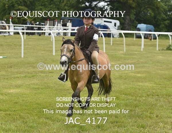 JAC_4177 - 30CM WORKING HUNTER