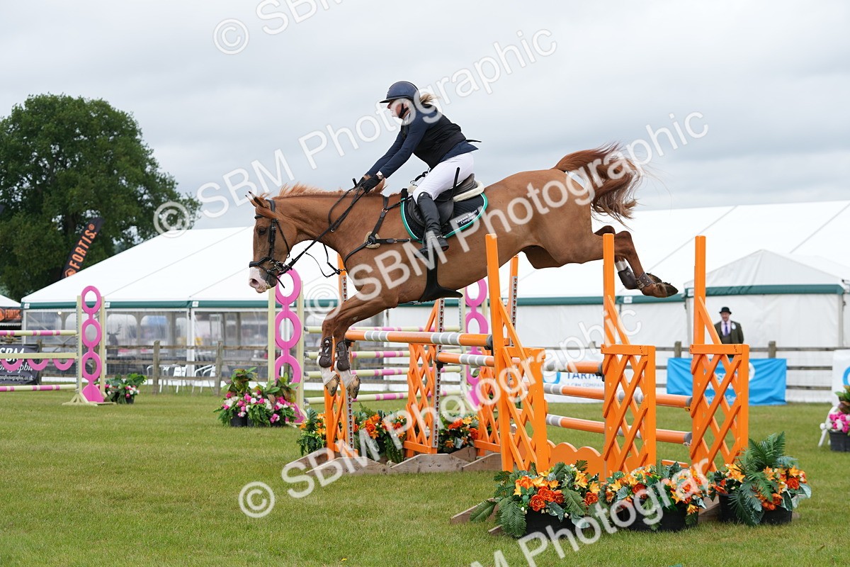 SBM_03298 - Class 201 - British Horse Feeds Speedi Beet Horse of the Year Show Grade  C