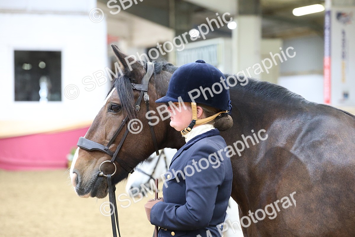 SBM_21875 - Class 901 - Supreme Final - IH  Diamond