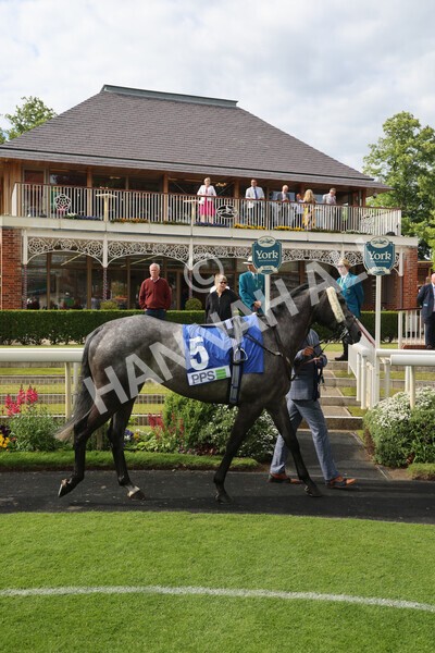 yr11062022r8-4 - Race 8 5.25pm Clean up with PPS Stakes