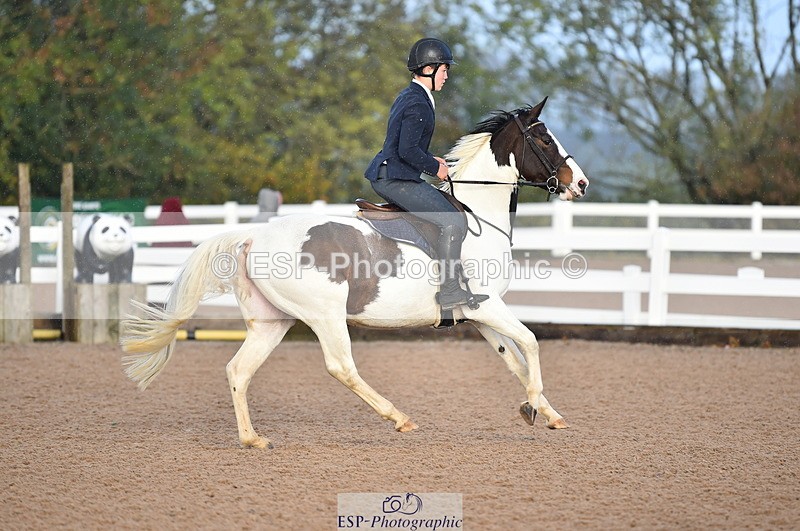 231028A-101906-00373 - Cls 1 Pony 70cm