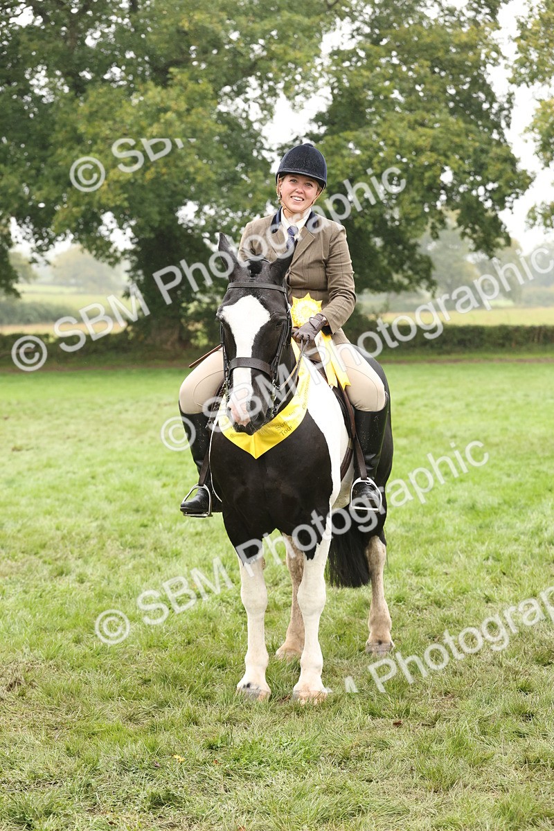 SBM_69868 - S69 - Show Cob Ridden