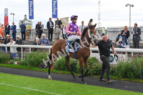 yr19082021r7-7 - Race 7 5.20pm British Stallion Studs EBF Fillies' Stakes