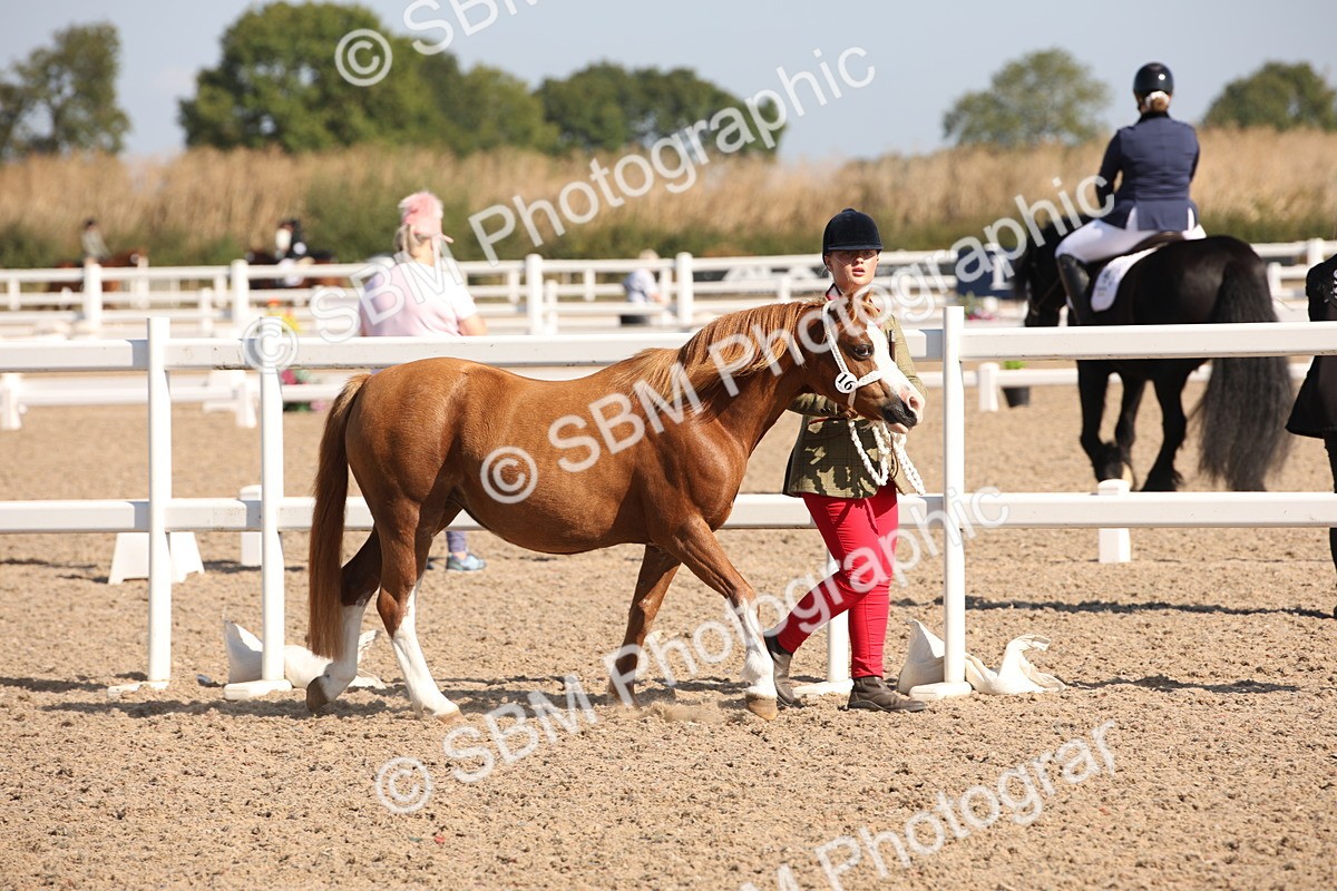 SBM_02663 - Class 16 IH M&M Wildcard