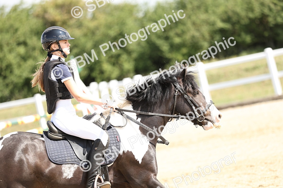 SBM_004021 - 60cm showjumping